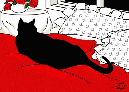 cat,drawing,line, color,black,texture,bed,pillows,flowers,window,night,sleep,red,blanket,room,interior,nap