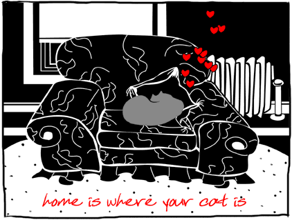 cat, drawing, line, color,black,texture,chair,pillows,window,hearts,text,sleep,interior,horizontal