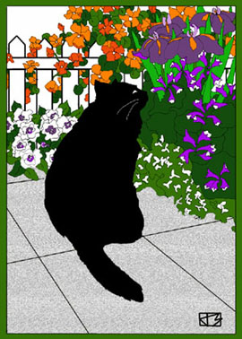 cat,drawing,line,color,black,texture,flowers,fence,garden,blooms,color,yard,vertical